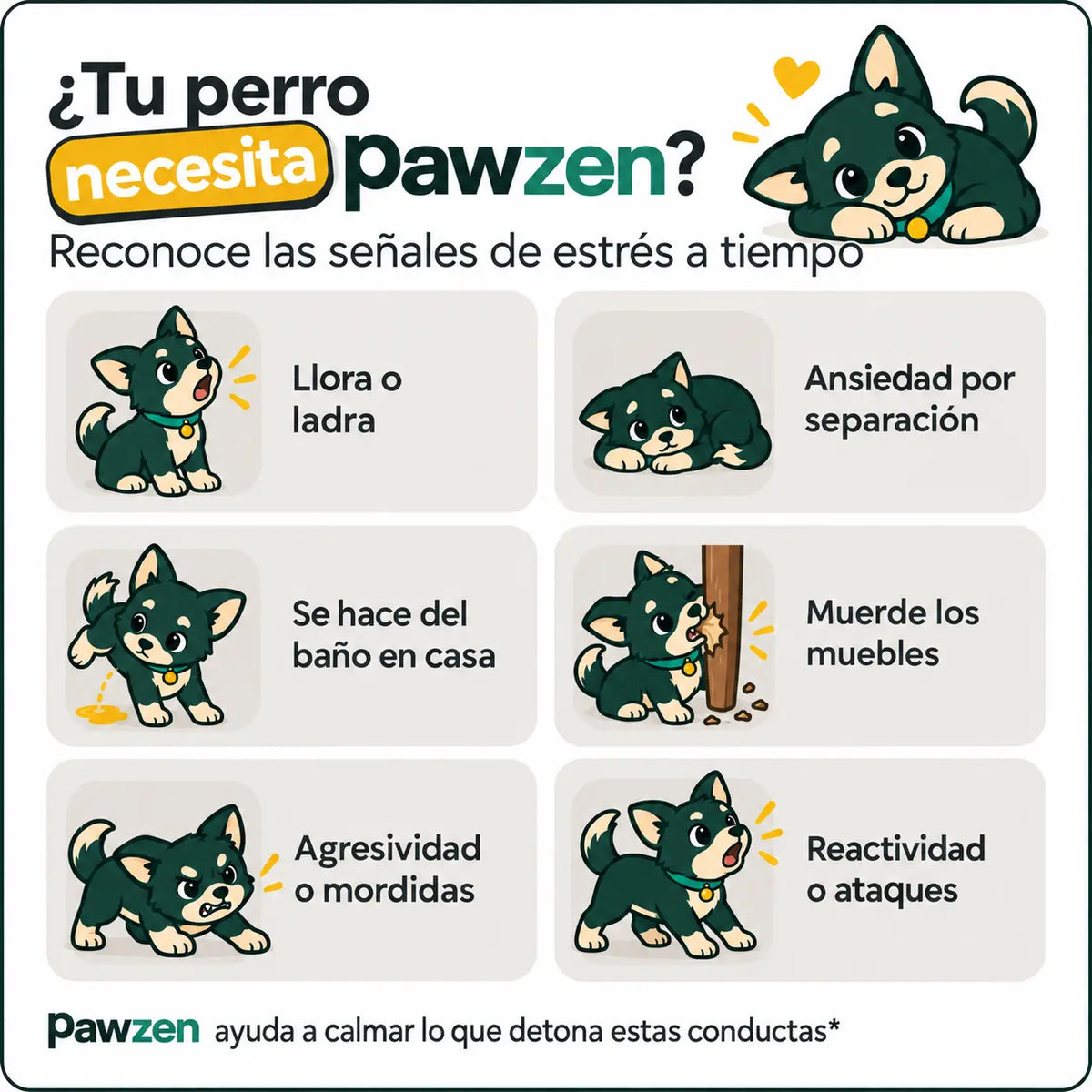 Señales de estrés en perros que PawZen ayuda a calmar: llora o ladra, ansiedad por separación, se hace del baño en casa, muerde los muebles, agresividad y reactividad