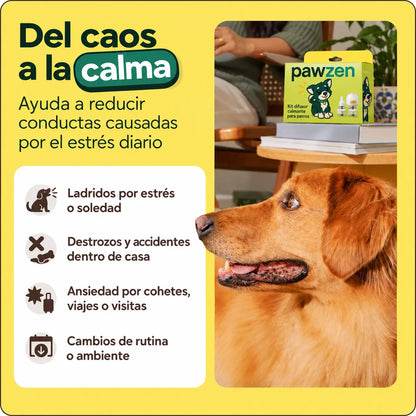 Del caos a la calma: PawZen ayuda a reducir ladridos por estrés, accidentes dentro de casa, ansiedad por cohetes y cambios de rutina