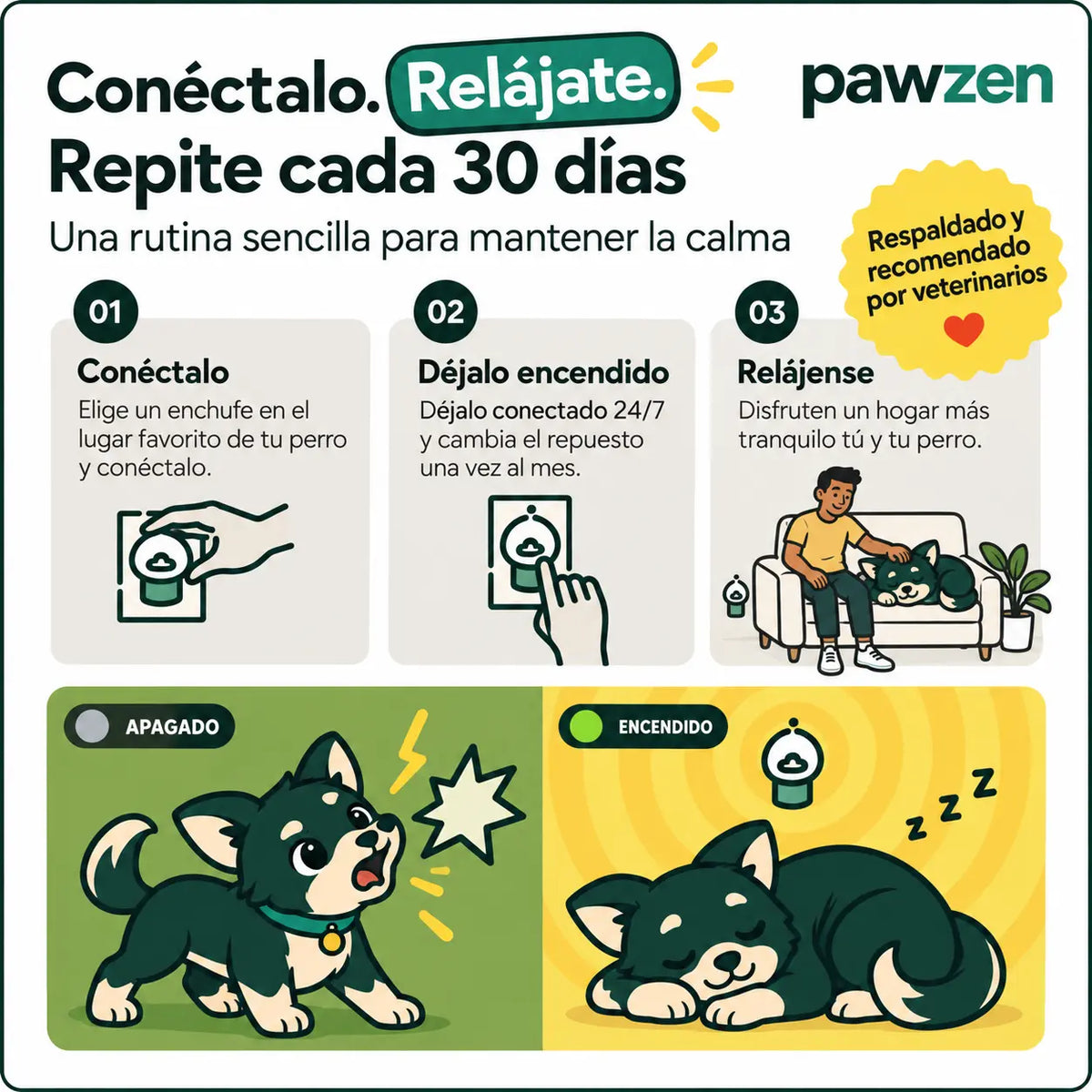 Cómo usar PawZen en tres pasos: conéctalo en el lugar favorito de tu perro, déjalo encendido y cambia el repuesto cada 30 días